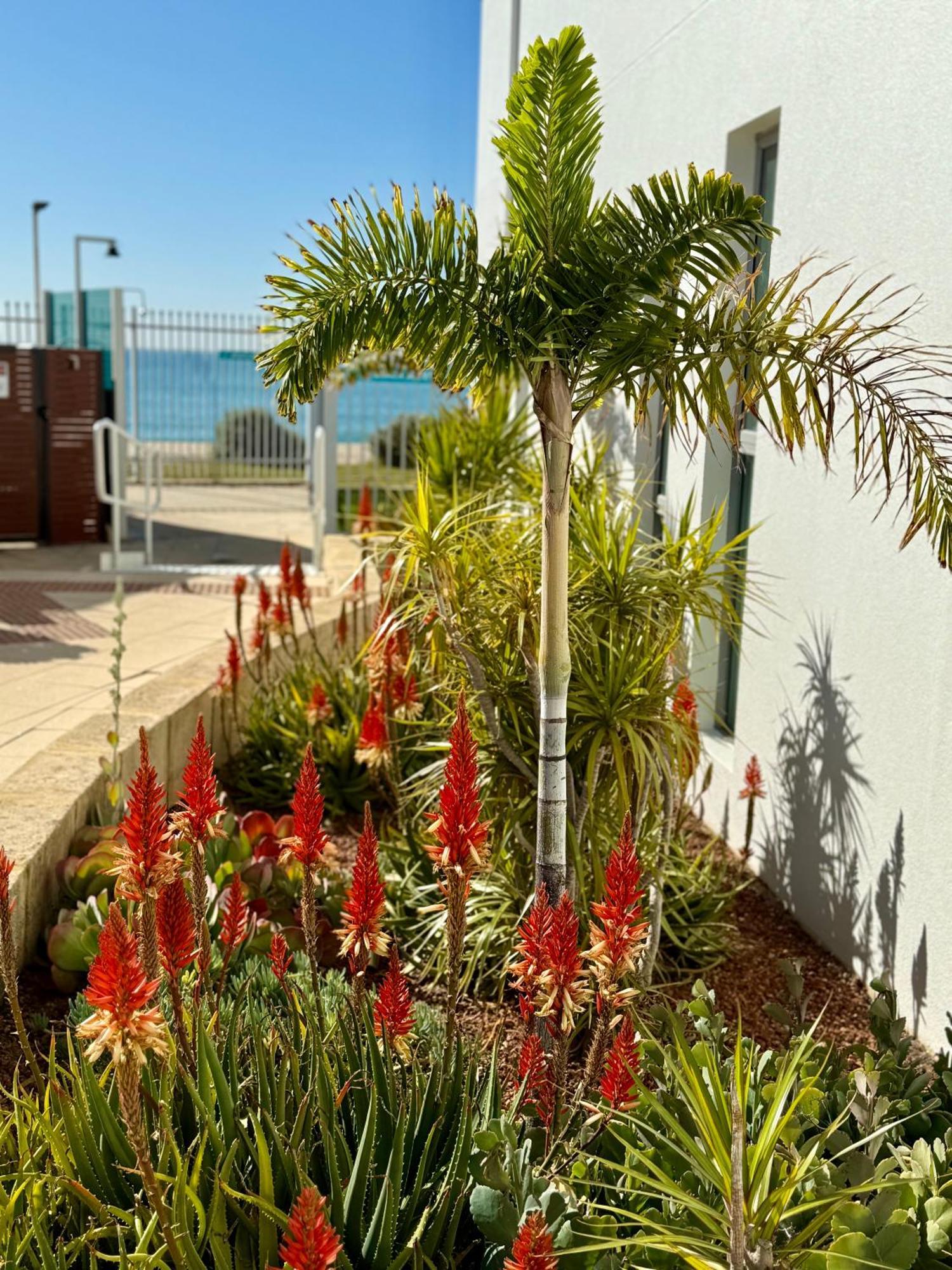 An Ocean,Beachfront And Pool View Apartment 210 Мандура Екстер'єр фото